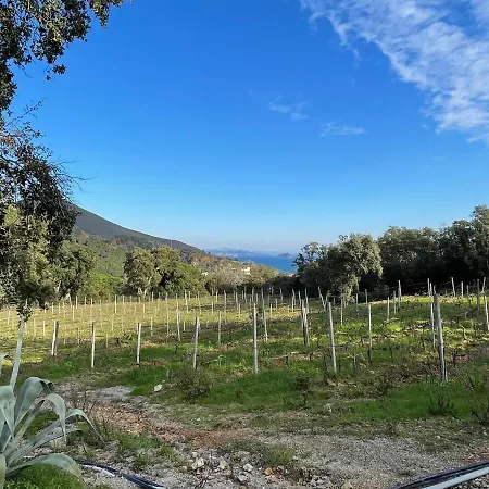 Farmház Le Sughere Rio Marina