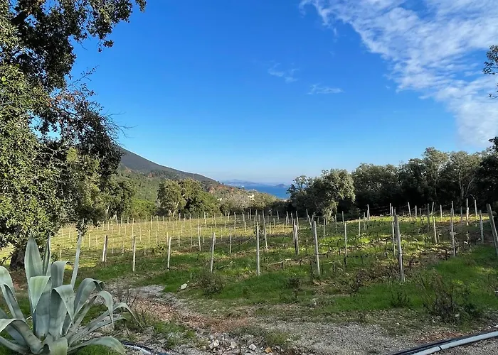 Farmház Le Sughere Rio Marina