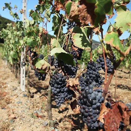 Фермерский дом Le Sughere *